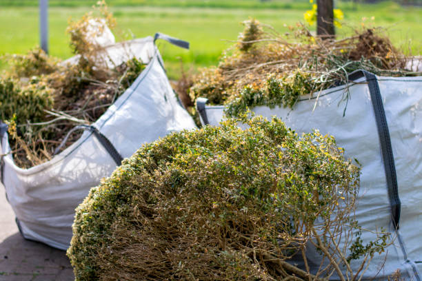 Best Household Junk Removal  in Amory, MS